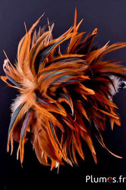 Plumet coq  avec anneau -  hauteur 20 cm - naturel